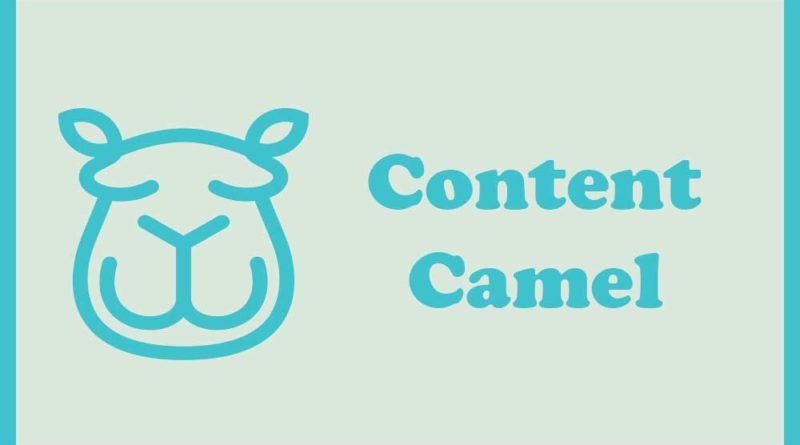 Review of Content Camel