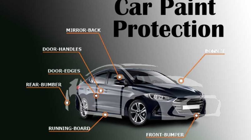 Car Paint Protection