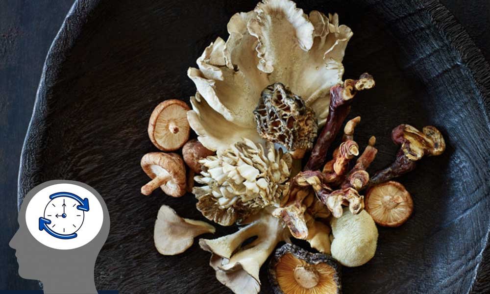 Sleep Benefits of Mushrooms
