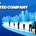 Why Should You Set up a Limited Company?