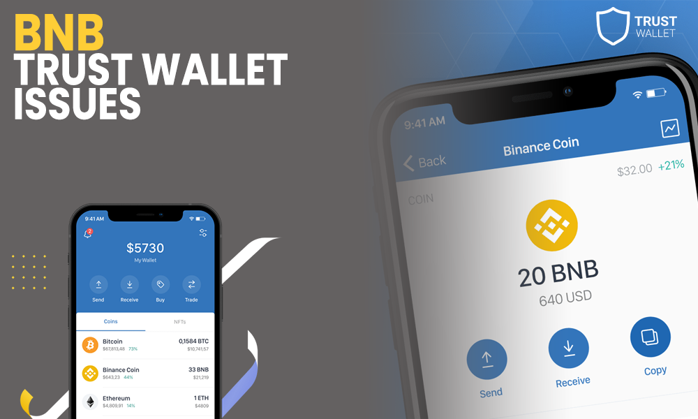 BNB and Trust Wallet Issues