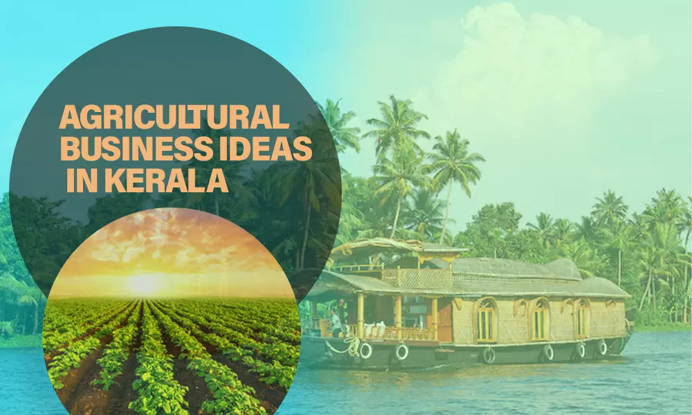 business-Idea-For-Kerala