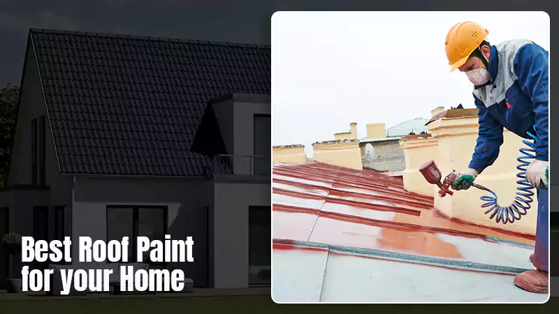 How to Choose the Best Roof Paint for your Home?